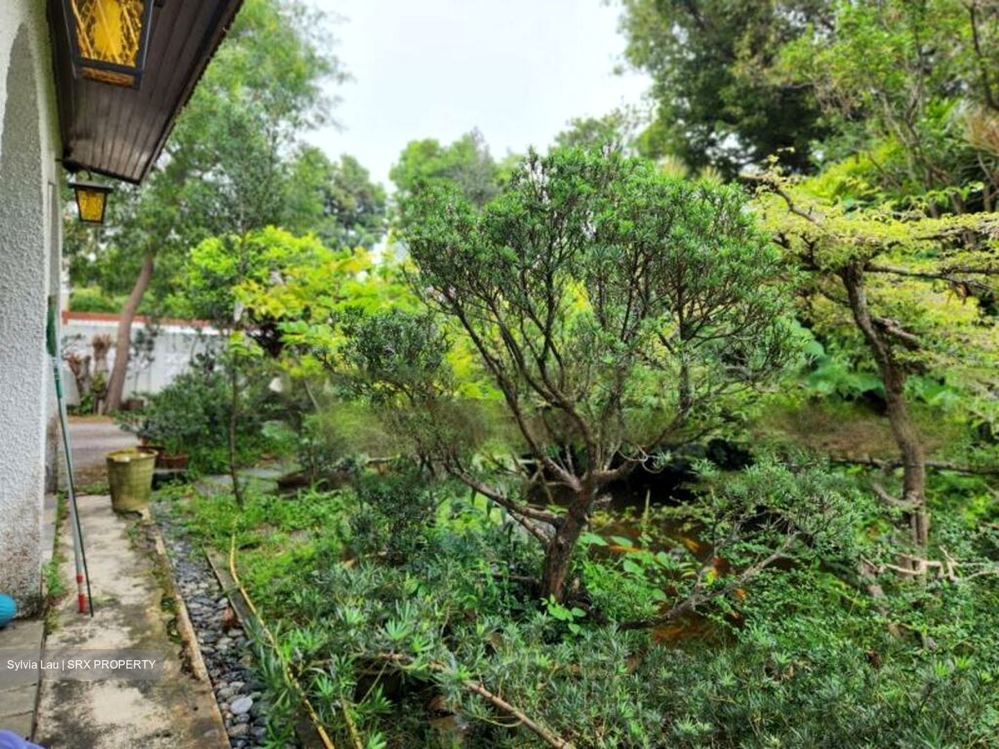 Frankel Estate (D14), Detached #458029621